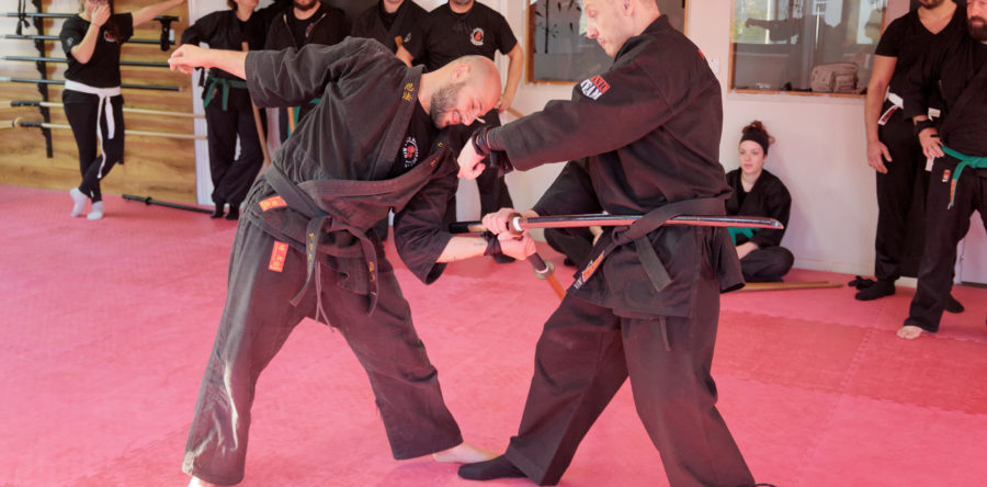 Gyoko Ryu Advanced Seminar