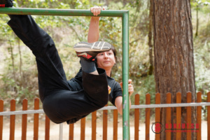 Monkey Style